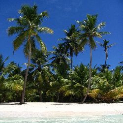 photos/Am Meer/thumbnails/auf Saona 2_1.jpg